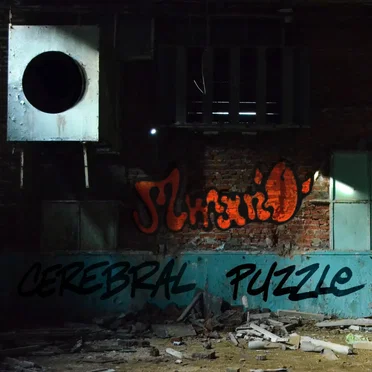 Cerebral Puzzle