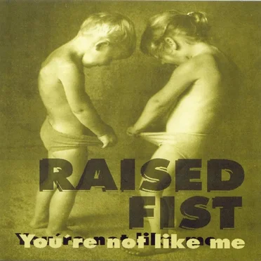 You're Not Like Me by Raised Fist - album cover