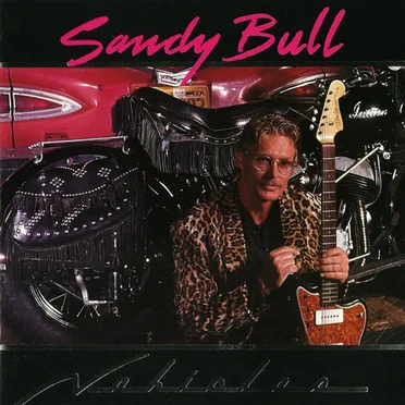 Vehicles by Sandy Bull - album cover