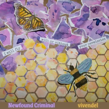 Newfound Criminal (I will fly with or without your permission)