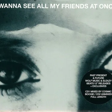 I Wanna See All My Friends at Once by Various Artists - album cover