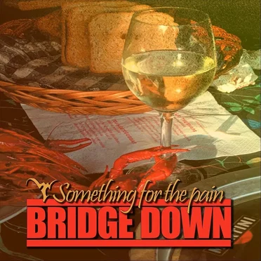 Something for the Pain by Bridge Down - album cover