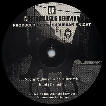 Nocturbulous Behavior