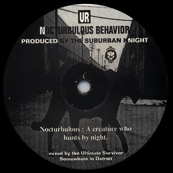 Nocturbulous Behavior