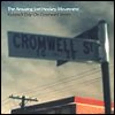 Rubbish Day On Cromwell Street by The Amazing Joel Hockey Movement - album cover