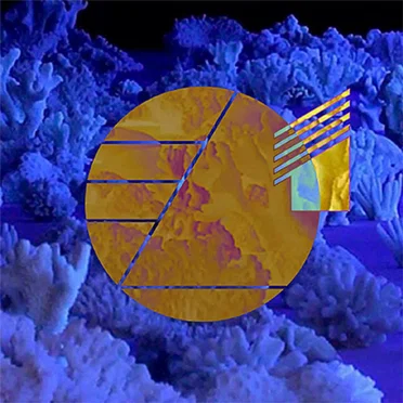 Lo Motion Singles Vol. 1 by Various Artists - album cover