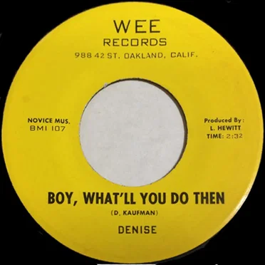 Boy, What'll You Do Then by Denise - album cover