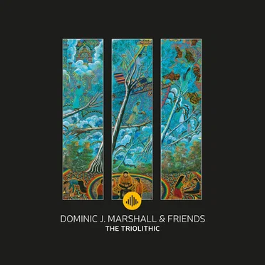 The Triolithic by Dominic J. Marshall - album cover