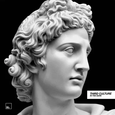 In the Dark by Third Culture - album cover