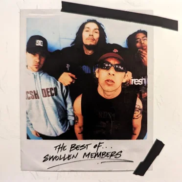 The Best of Swollen Members