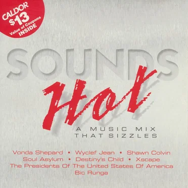 Sounds Hot: A Music Mix That Sizzles by Various Artists - album cover