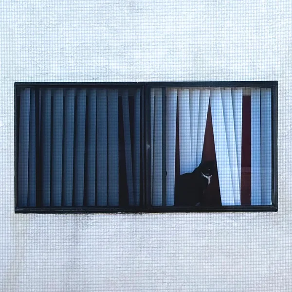 I Created the Universe So That Life Could Create a Language So Complex, Just to Say How Much I Love You