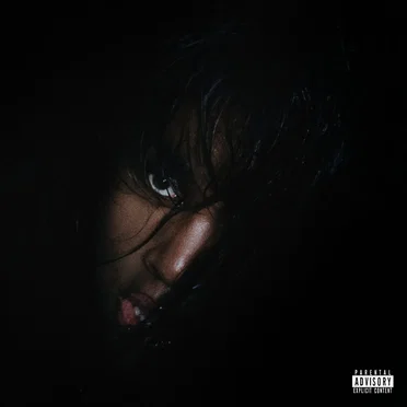 BITCH YOU COULD NEVER