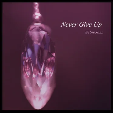 Never Give Up by SebioJazz - album cover