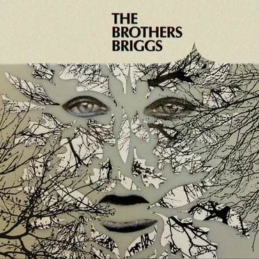 The Brothers Briggs