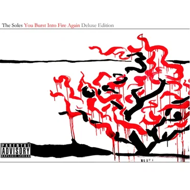 You Burst Into Fire Again by The Soles - album cover