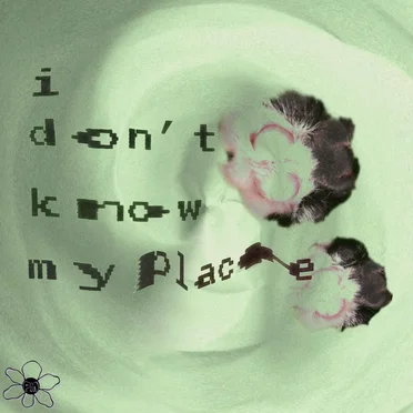 i don’t know my place