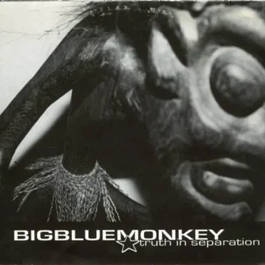 Truth in Separation by bigbluemonkey - album cover