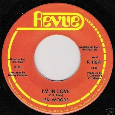Do It Funky / I'm in Love