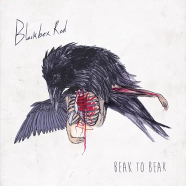 Beak to Beak