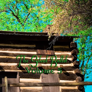 The Silent Ballet, Volume V: I Let My Fears Get the Best of Me by Various Artists - album cover