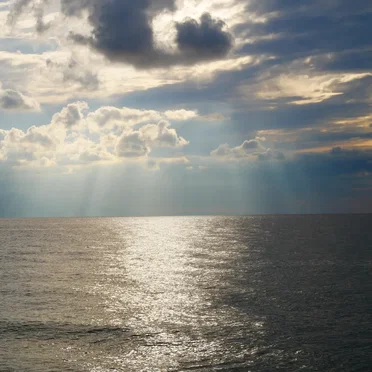 Coastal Music