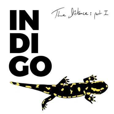 The Distance: Part I by Indigo - album cover
