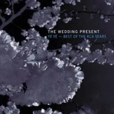 Ye Ye: The Best of the RCA Years