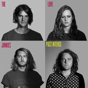 Past Intense by The Love Junkies - album cover