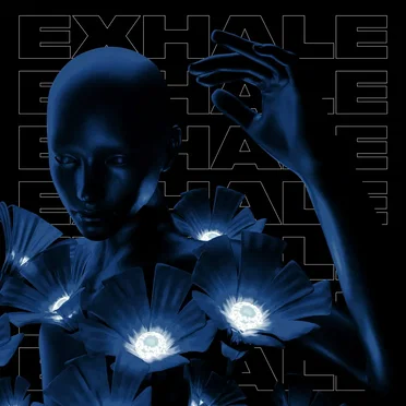 Exhale VA004 by Various Artists - album cover