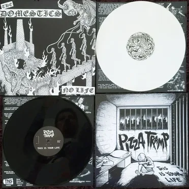 The Domestics/Pizzatramp split