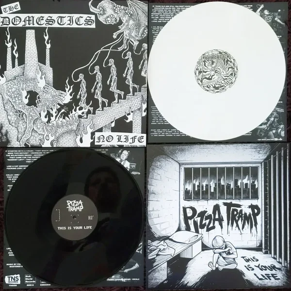 The Domestics/Pizzatramp split