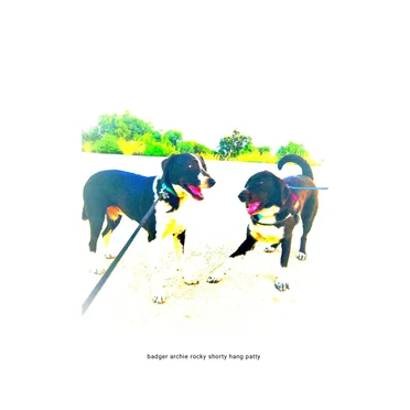 badger archie rocky shorty hang patty by fax - album cover