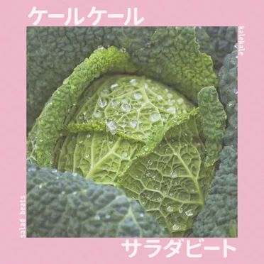 Salad Beats by kalekale - album cover