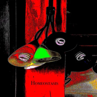 Homeostasis
