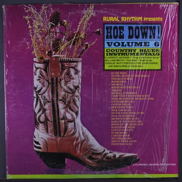 Hoe Down! Volume 6: Country Blues Instrumentals