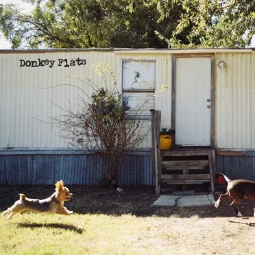 Donkey Flats by Dexter and The Moonrocks - album cover