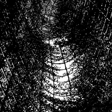 Emergent Behaviours by Moss Harvest - album cover