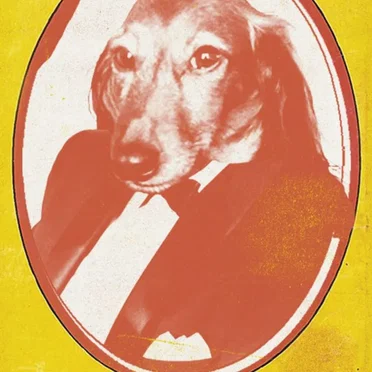 The Wiener Dog Comp II: The Ghoulie Tape by Various Artists - album cover