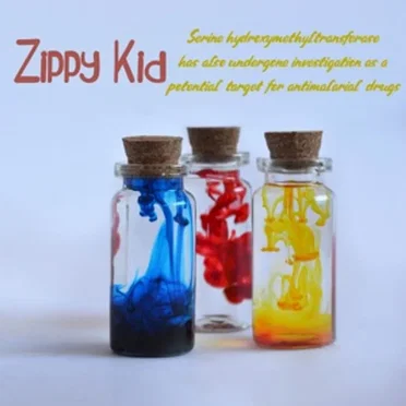 Serine Hydroxymethyltransferase Has Also Undergone Investigation As a Potential Target for Antimalarial Drugs