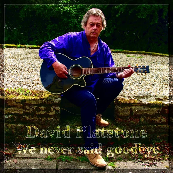 We Never Said Goodbye