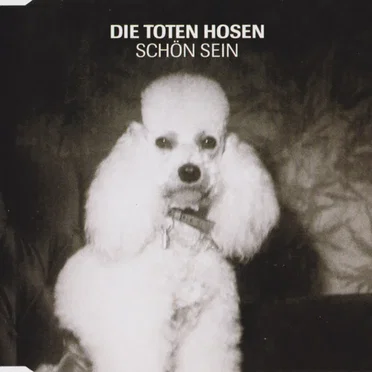 Schön sein