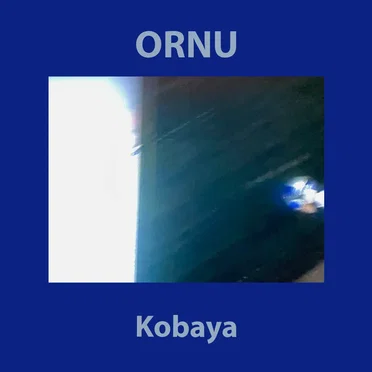Kobaya