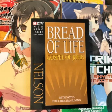 Archive.org Is My Favorite Place To Pirate Books (No But Seriously, It Was So Dumb Of Them To Give Infinite Book Access As It Ruins Their Entire Argument), Imagine If Archive Got Nuked, We Would Lose Like Every Shitnoise Album (Ignore VK Labels Those Hardly Count As Nearly Nobody Downloads From Them Or Even Knows They Exist / I Still Think Its Funny Esent Got Mad At Genetic Trance For Releasing One Of Their Albums, Er, "EPs" [I Think It Was Actually A "Mixtape"] On VK) / The Return Of A Pointless HNW Series (Wait, Every HNW Series Is Pointless) Where I Just Do Lazy 8 kbps Remixes Of My Other Walls With Uncropped Photos Of Stuff I Own As The Covers And Long Titles Of Rambling Thoughts / This Track Is Only As Long As It Is So It Can Be In That Discogs List But It Wont Be On Discogs Since Nobody Is Going To Add This And Okosan Is Banned (Also You Must Listen To This Whole Thing Or You're A Fake Himeko Fan) / The Slashes Do Not Denote Multiple Songs/Titles; This Is All One Song/Title