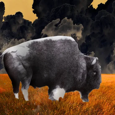 Morton Drax and the Concrete Buffaloes
