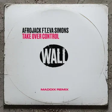 Take Over Control (Maddix remix)