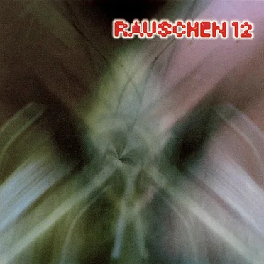 Rauschen 12 by Various Artists - album cover