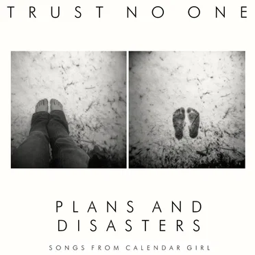 Plans And Disasters