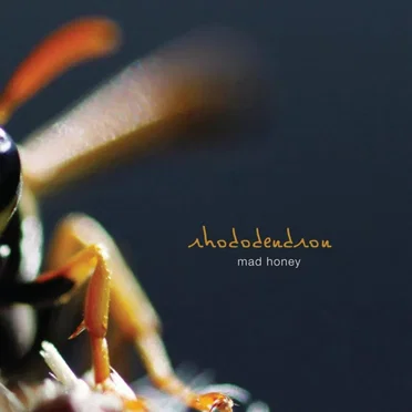 Mad Honey by Rhododendron - album cover
