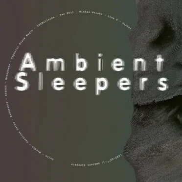 Ambient Sleepers by Various Artists - album cover